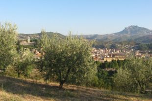 Clarico-3 Columns Style 2